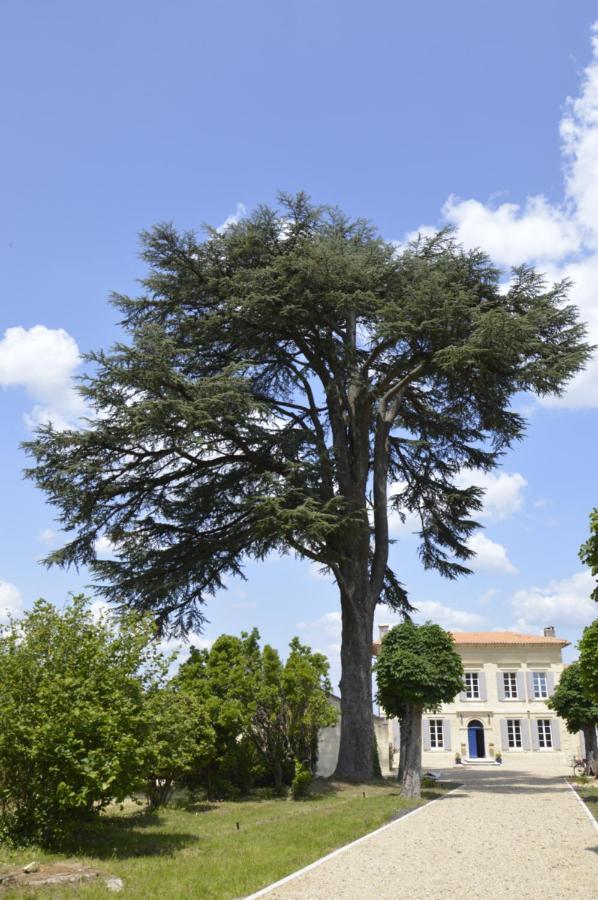 Hotel Chateau Nardon Crimon à Saint-Christophe-des-Bardes Extérieur photo